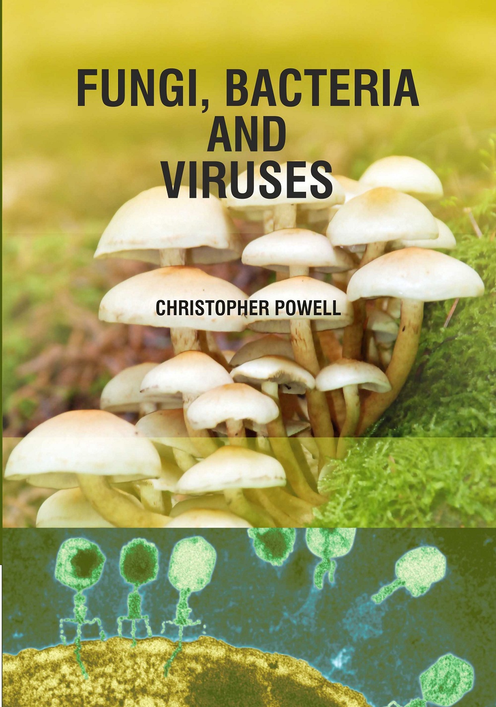 Fungi, Bacteria and Viruses